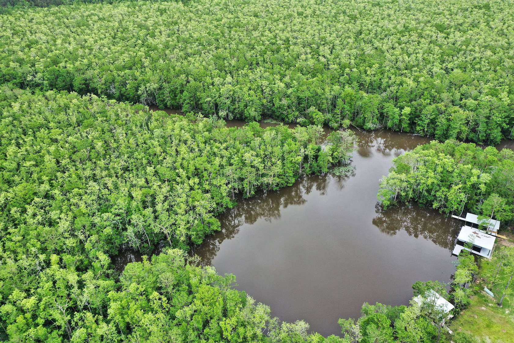 130 Acres of Recreational Land for Sale in Springfield, Louisiana