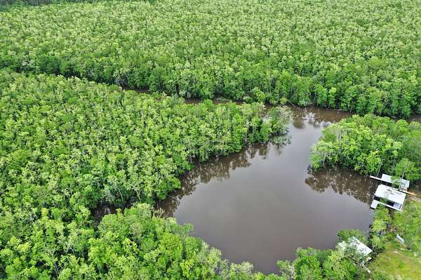 130 Acres of Recreational Land for Sale in Springfield, Louisiana