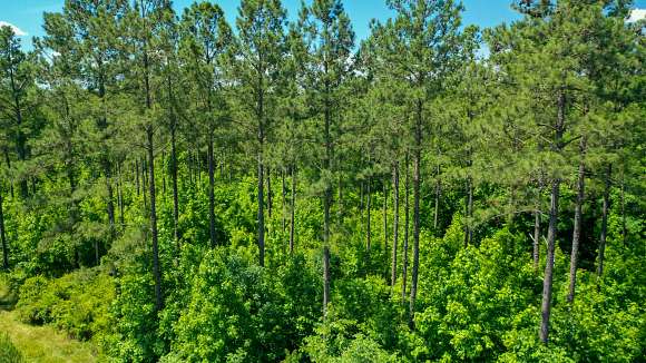 114 Acres of Recreational Land & Farm for Sale in Sparta, Georgia