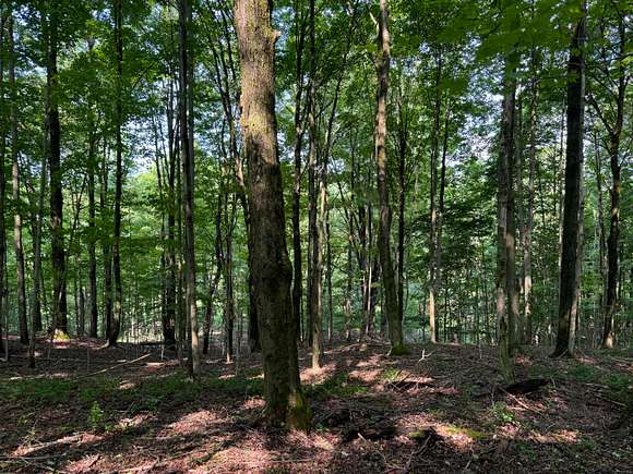 11.69 Acres of Recreational Land for Sale in North Pitcher, New York