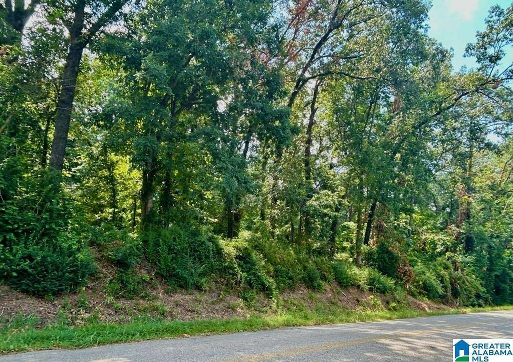 1.3 Acres of Residential Land for Sale in Birmingham, Alabama
