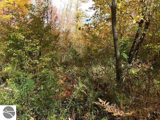 10.1 Acres of Recreational Land for Sale in St. Helen, Michigan