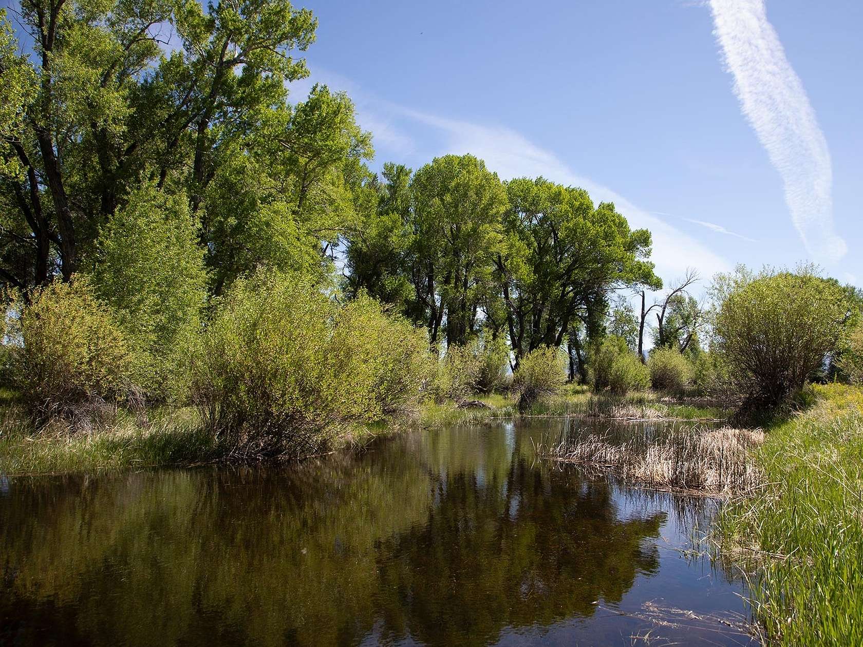 203 Acres of Land for Sale in Saratoga, Wyoming