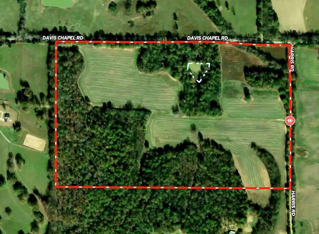 100 Acres of Land for Sale in Sardis, Mississippi