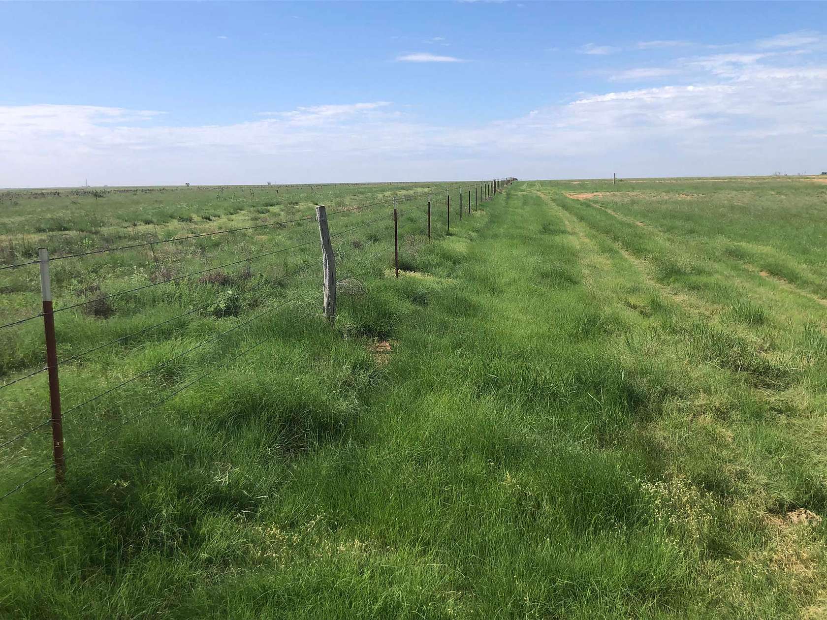 338 Acres of Agricultural Land for Sale in Nazareth, Texas
