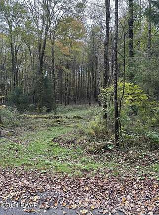 13.13 Acres of Land for Sale in Pleasant Mount, Pennsylvania