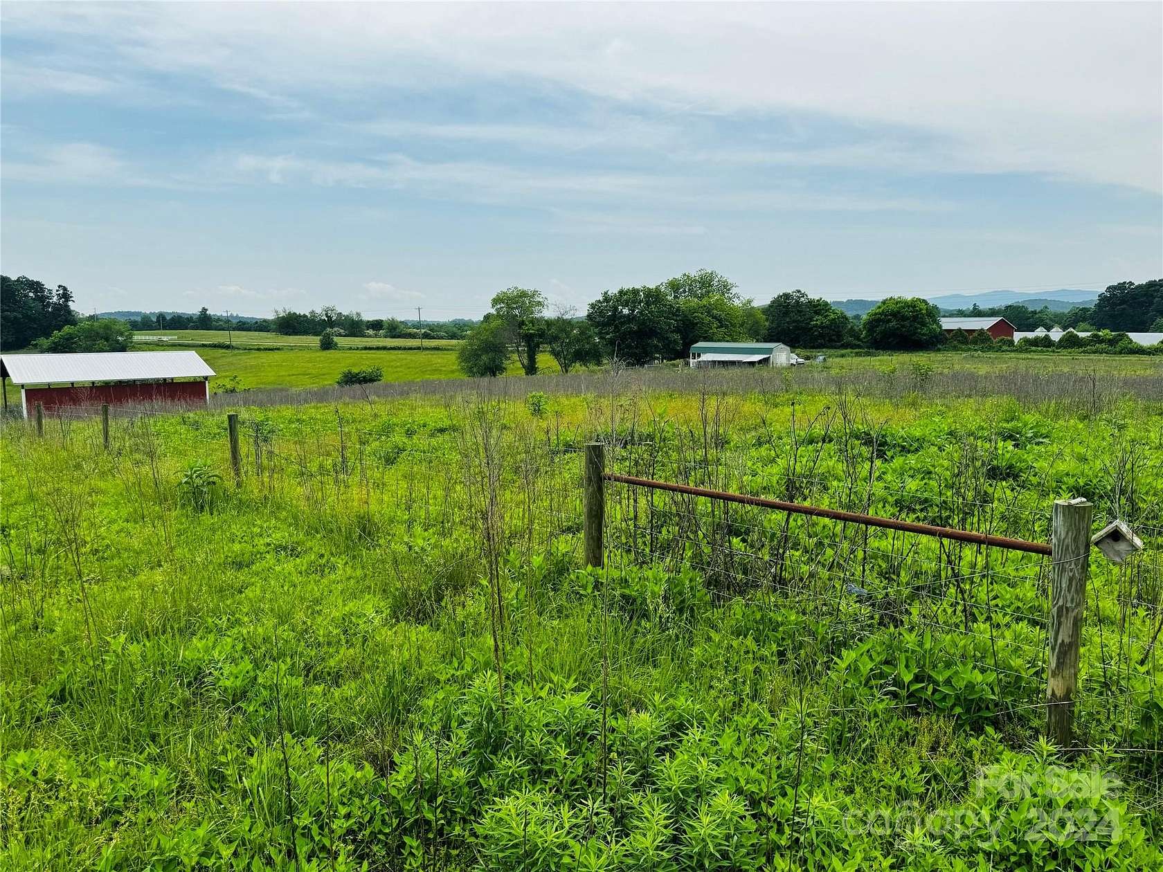 36.34 Acres of Agricultural Land for Sale in Connelly Springs, North Carolina