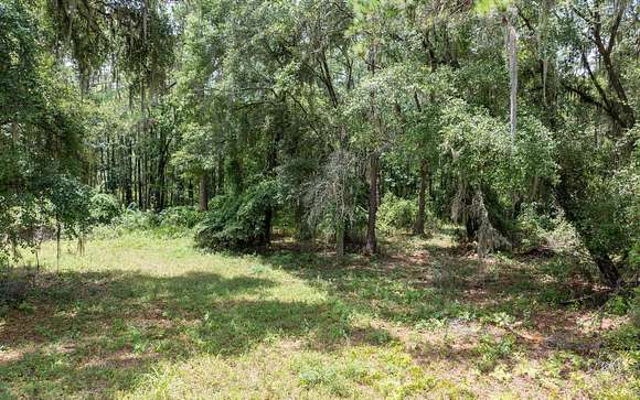 5.07 Acres of Residential Land for Sale in Lake City, Florida