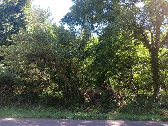 1.61 Acres of Land for Sale in Paw Paw, Michigan