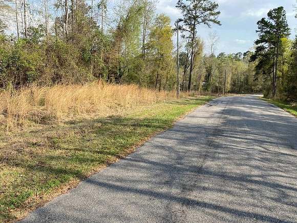 1.03 Acres of Residential Land for Sale in Abbeville, Alabama