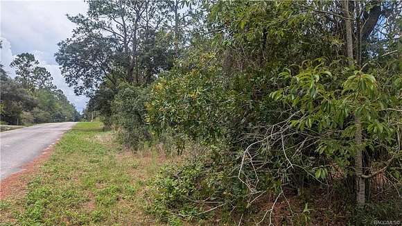 0.95 Acres of Residential Land for Sale in Dunnellon, Florida