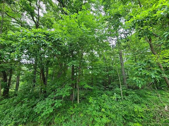 5 Acres of Residential Land for Sale in Big Rapids, Michigan