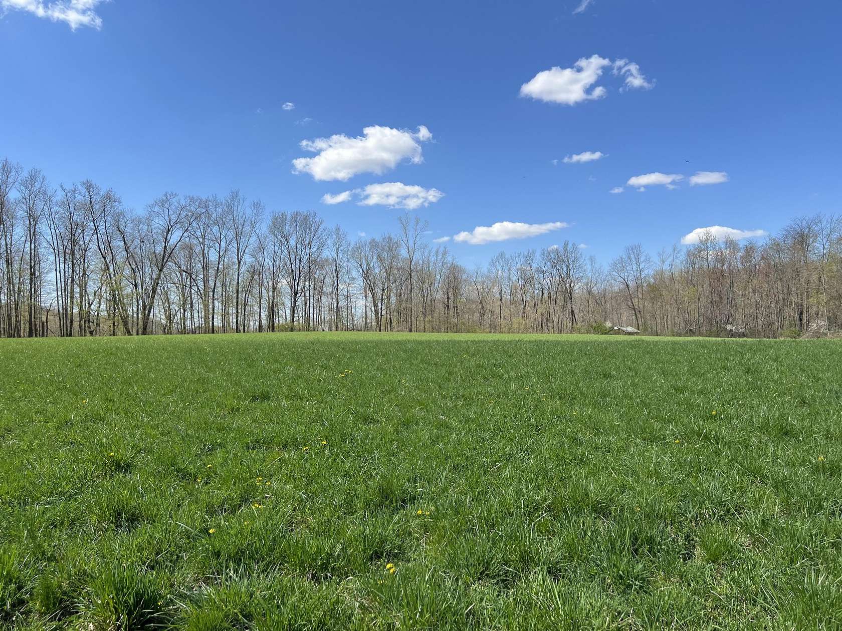 54 Acres of Recreational Land & Farm for Sale in Pittsford, Michigan
