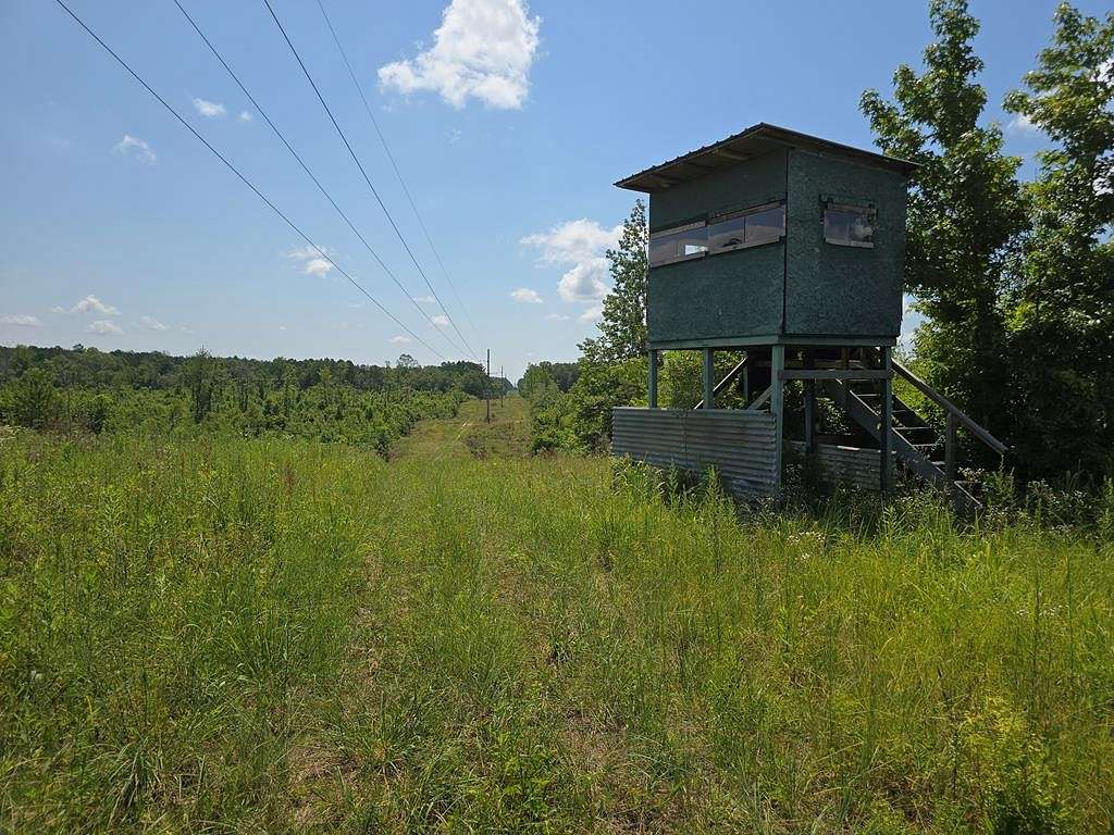 115 Acres of Land for Sale in McCall Creek, Mississippi