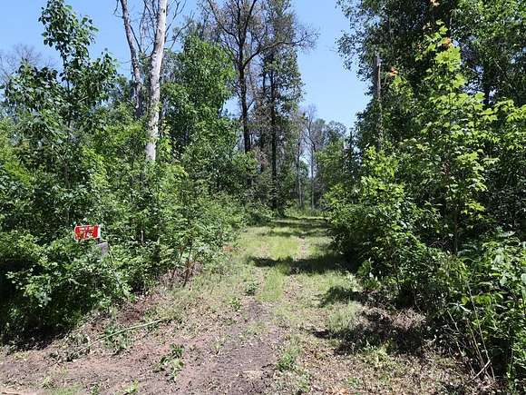 5.01 Acres of Residential Land for Sale in Danbury, Wisconsin