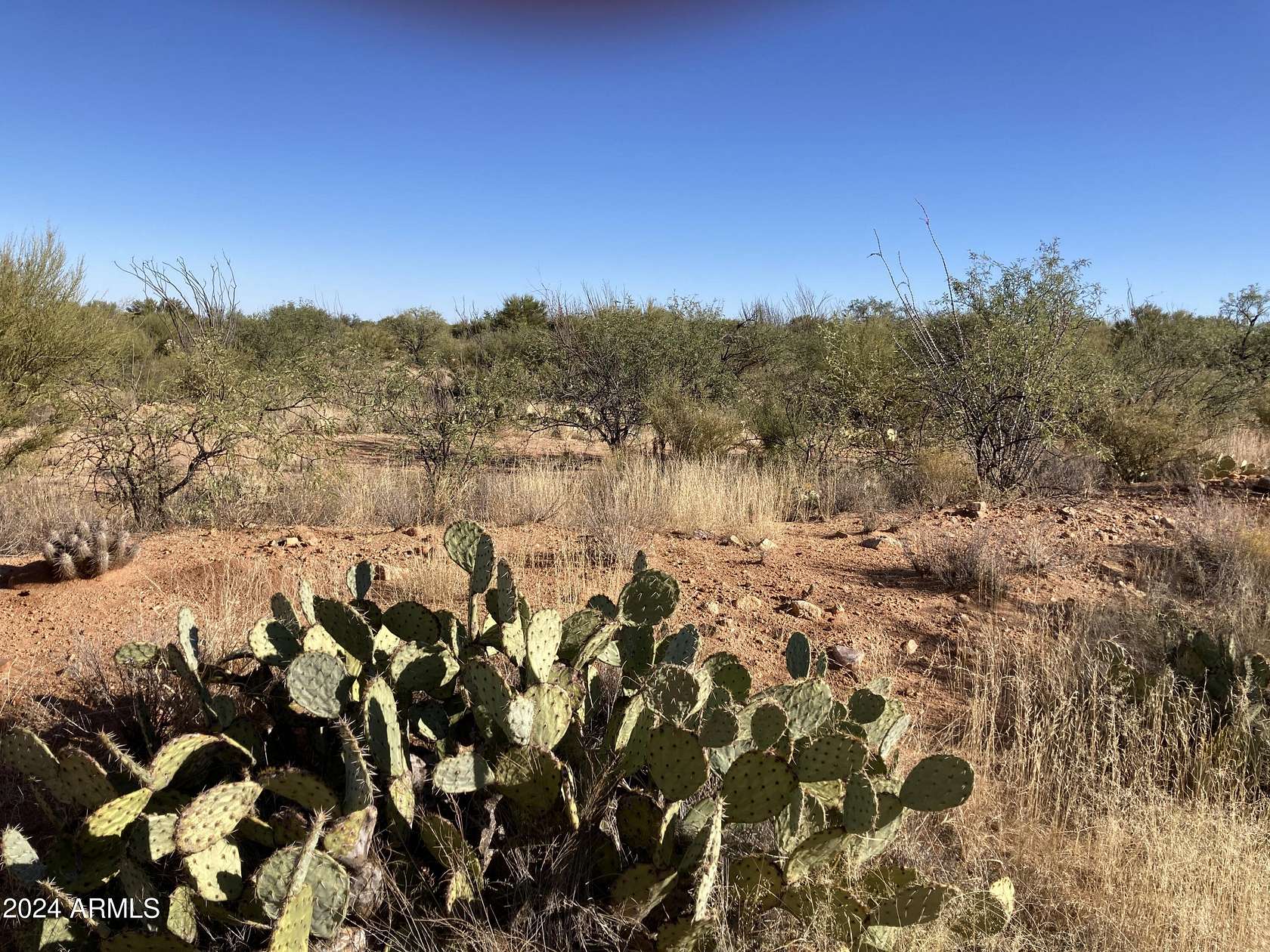 1.16 Acres of Residential Land for Sale in Tucson, Arizona