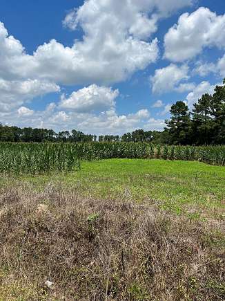 9.7 Acres of Land for Sale in Orangeburg, South Carolina