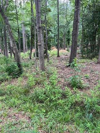2.45 Acres of Residential Land for Sale in Anderson, South Carolina