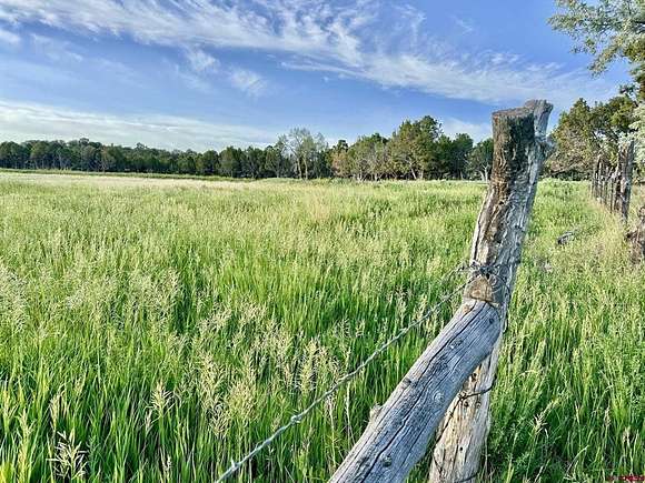 82 Acres of Land for Sale in Crawford, Colorado