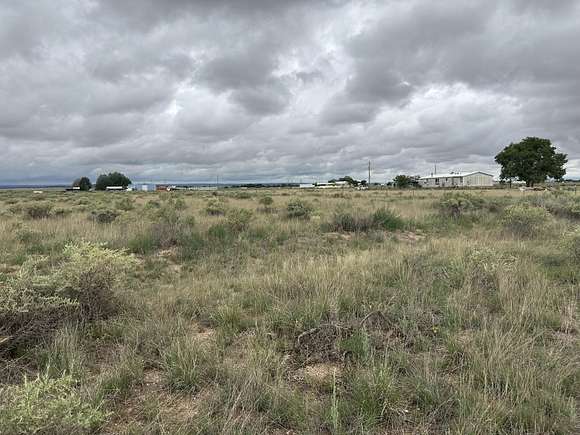 5 Acres of Agricultural Land for Sale in McIntosh, New Mexico