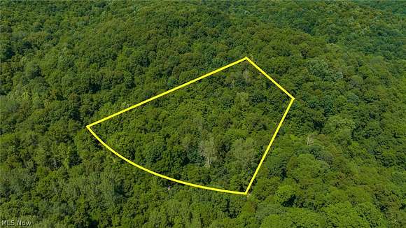9.8 Acres of Land for Sale in Kimbolton, Ohio