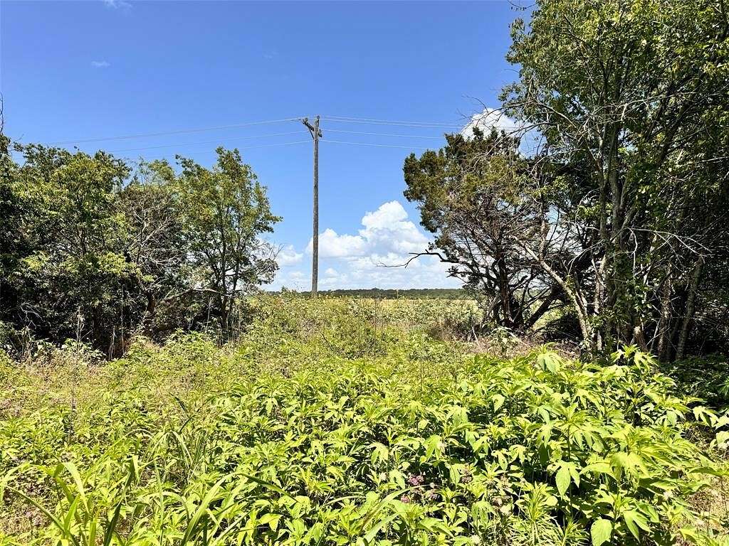 10.01 Acres of Land for Sale in Blum, Texas