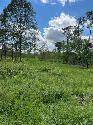 54 Acres of Recreational Land for Sale in Lincoln, Michigan