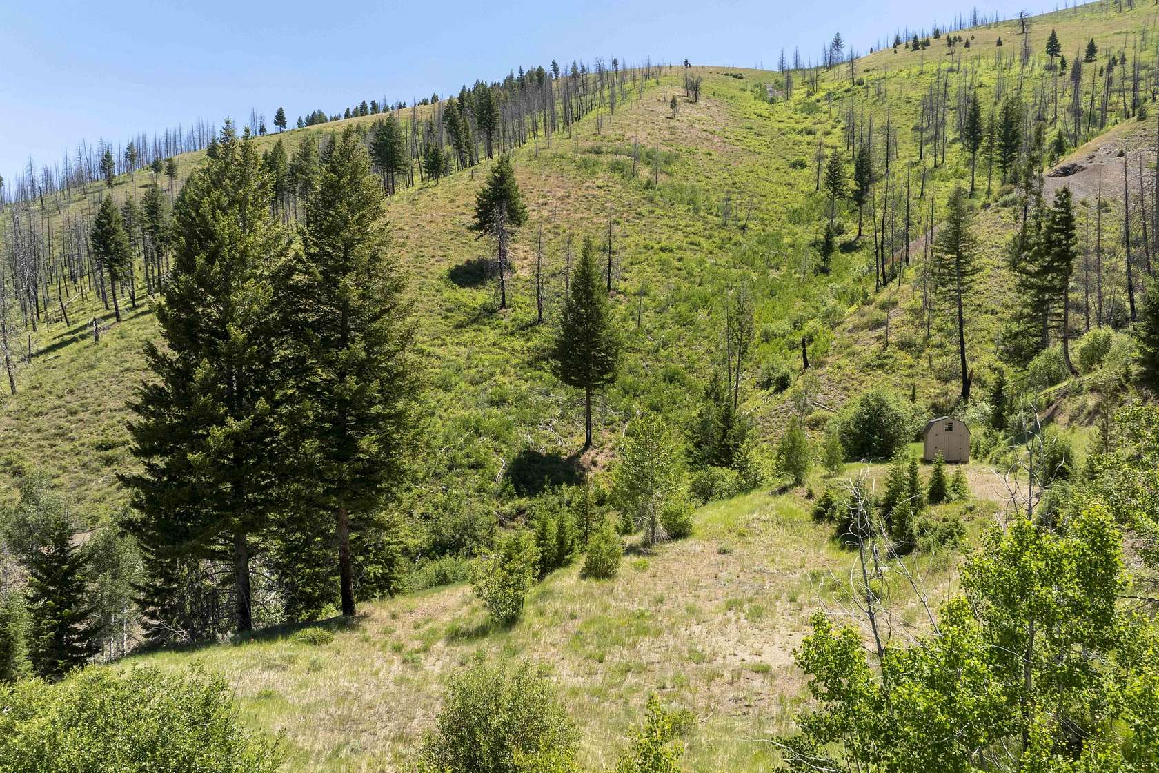 16.52 Acres of Land for Sale in Hailey, Idaho