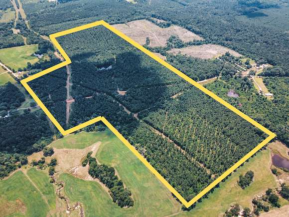 135 Acres of Land for Sale in Downsville, Louisiana