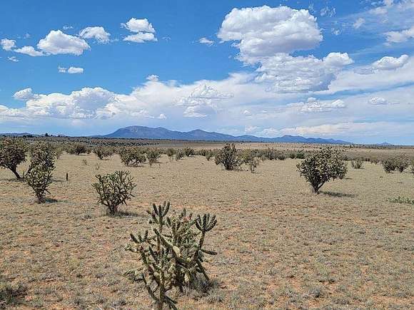 12.5 Acres of Land for Sale in Edgewood, New Mexico