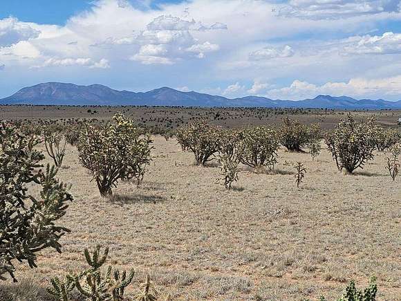 12.5 Acres of Land for Sale in Edgewood, New Mexico