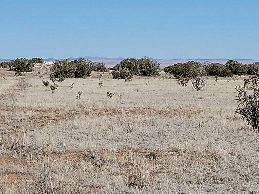 79.2 Acres of Recreational Land & Farm for Sale in Estancia, New Mexico