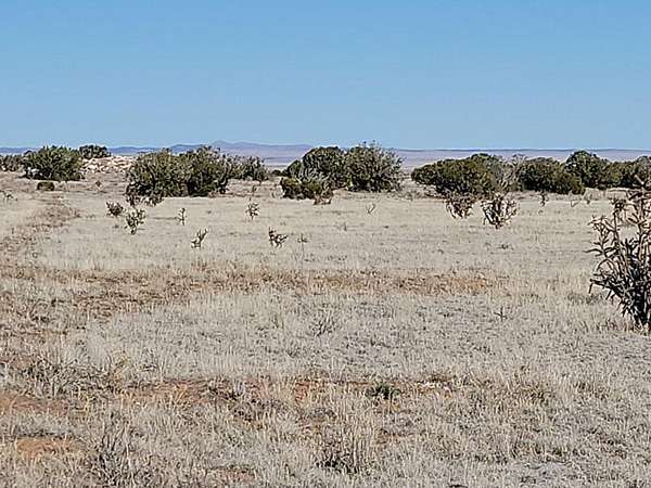 79.2 Acres of Recreational Land & Farm for Sale in Estancia, New Mexico