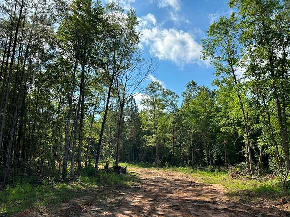 199.46 Acres of Land for Sale in Dry Branch, Georgia