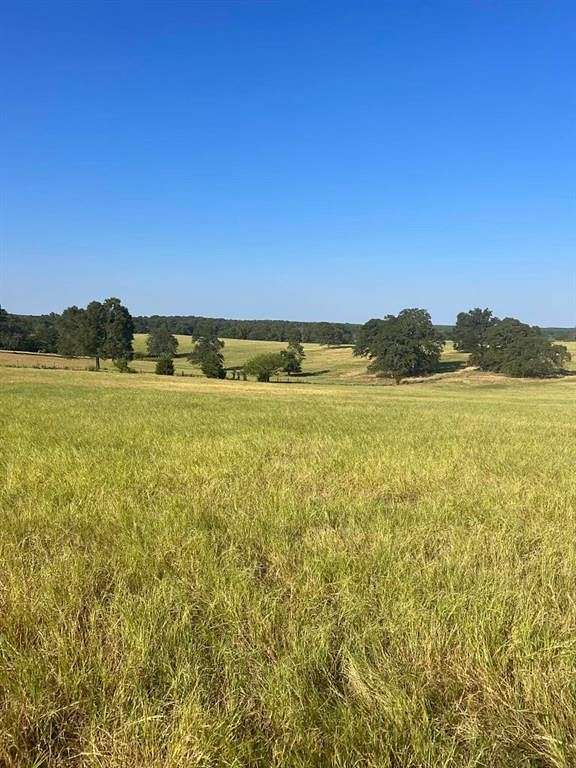 11.419 Acres of Recreational Land for Sale in Troup, Texas