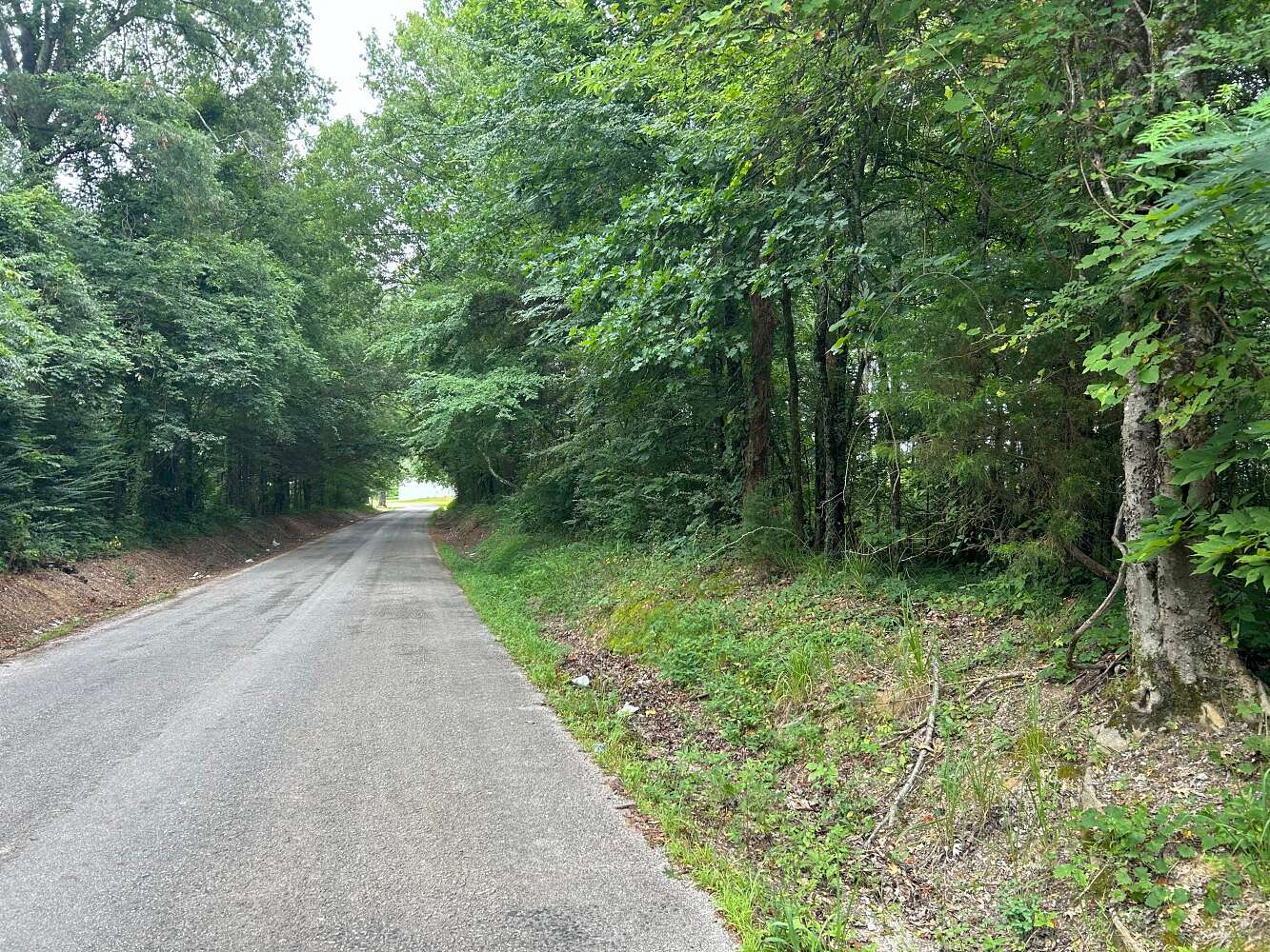 1 Acre of Residential Land for Sale in Woodland, Mississippi