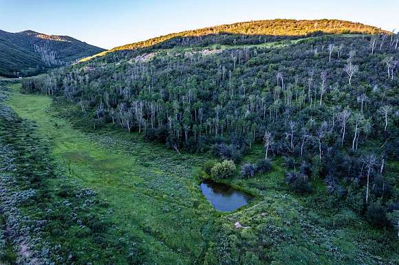 2444 Acres of Improved Recreational Land for Sale in Hayden, Colorado