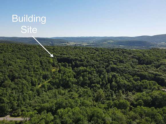 15.92 Acres of Recreational Land for Sale in Hartwick, New York