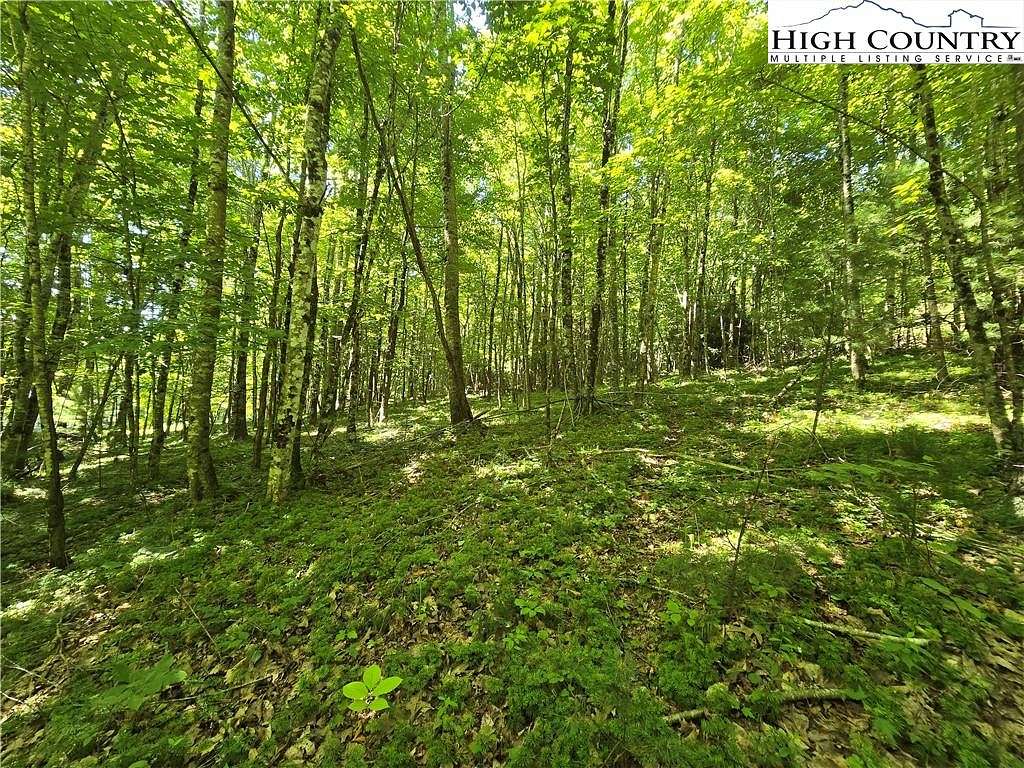 1.242 Acres of Residential Land for Sale in West Jefferson, North Carolina