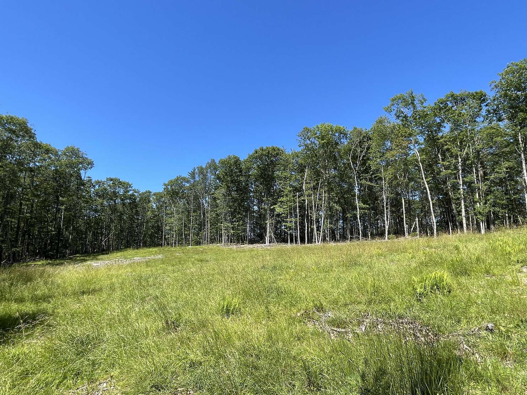 2.1 Acres of Residential Land for Sale in Westport Island, Maine