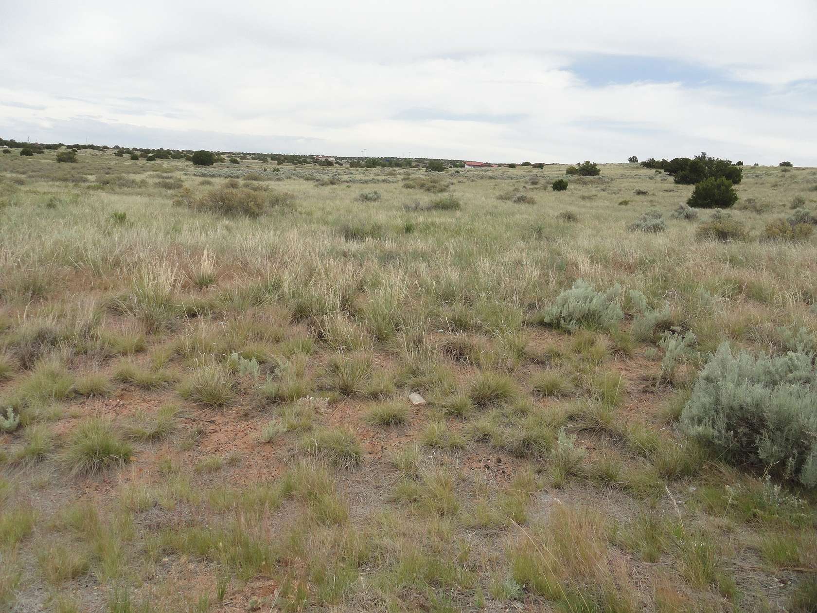 1.15 Acres of Residential Land for Sale in Sanders, Arizona