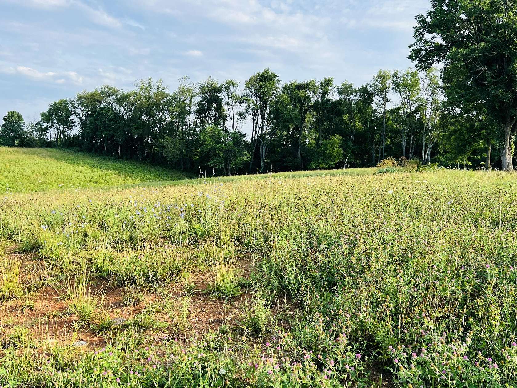 0.33 Acres of Residential Land for Sale in Somerset, Kentucky