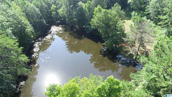 102 Acres of Land for Sale in Oneonta, Alabama