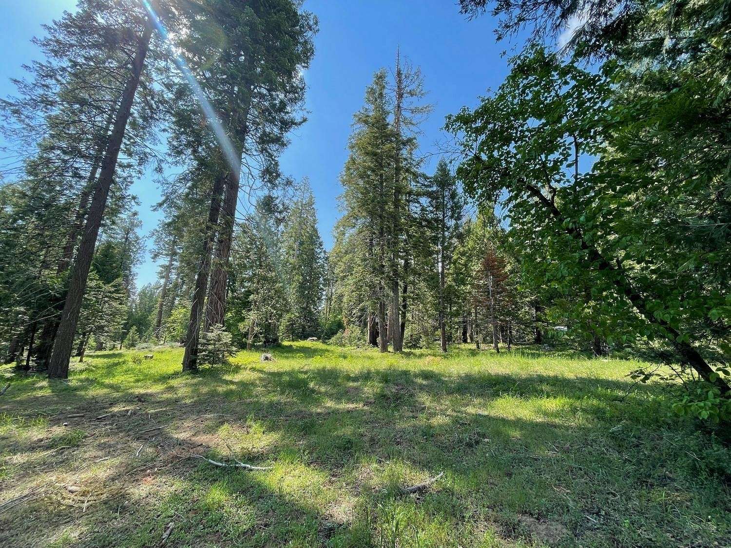 0.75 Acres of Residential Land for Sale in Shaver Lake, California