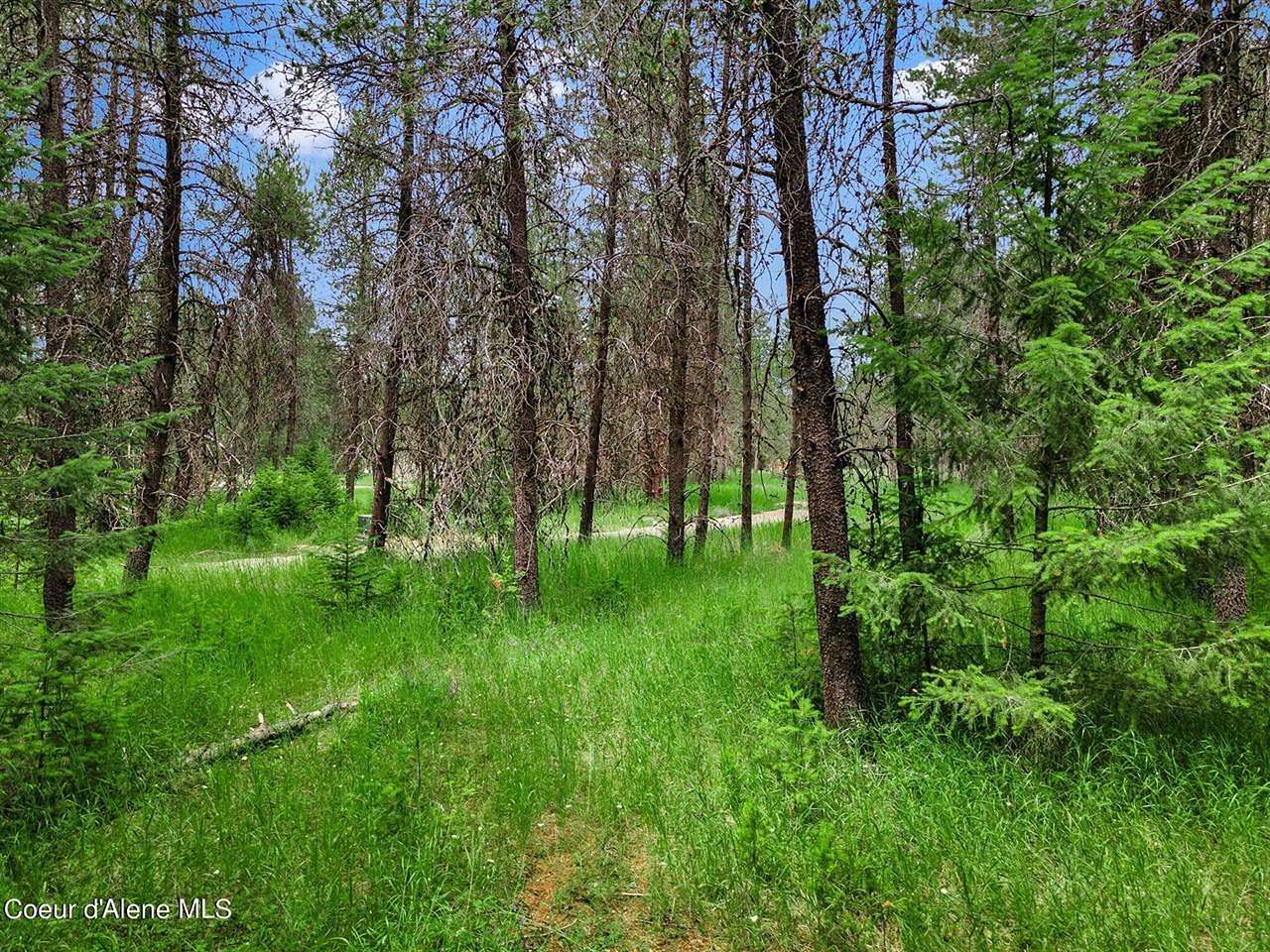 4.99 Acres of Residential Land for Sale in Athol, Idaho