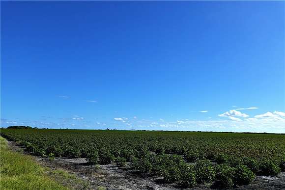 153.42 Acres of Land for Sale in Portland, Texas