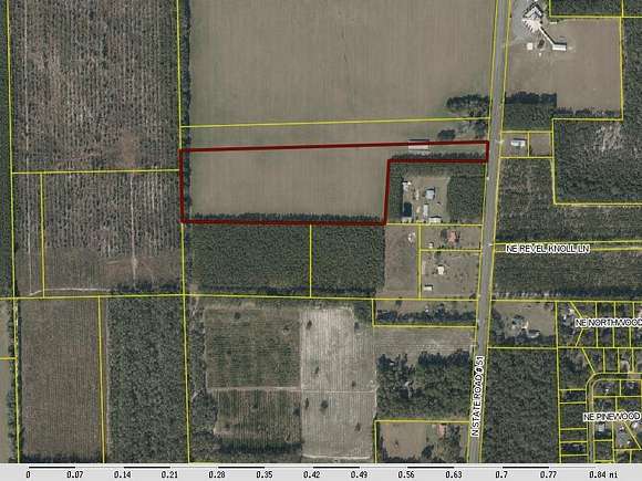 19.85 Acres of Land for Sale in Mayo, Florida
