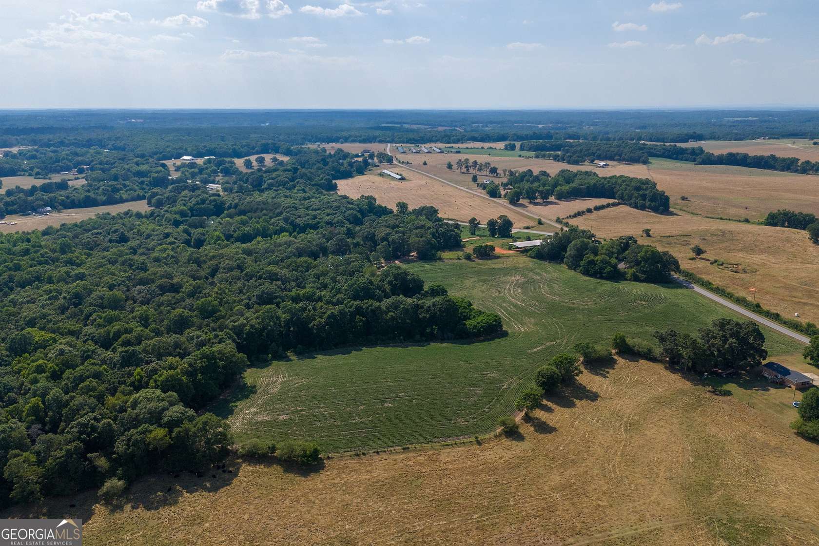 78.59 Acres of Agricultural Land for Sale in Hull, Georgia