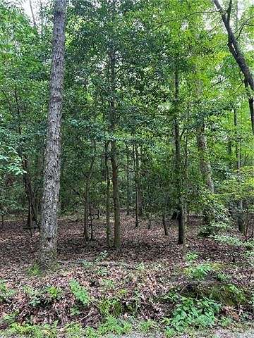 41.07 Acres of Land for Sale in Mathews, Virginia