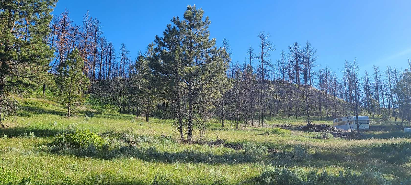 20 Acres of Recreational Land for Sale in Roundup, Montana